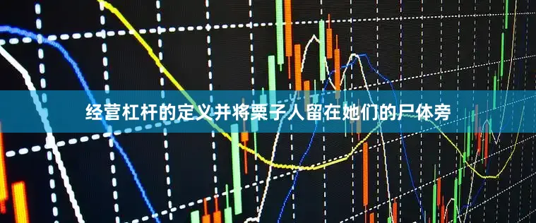 经营杠杆的定义并将栗子人留在她们的尸体旁