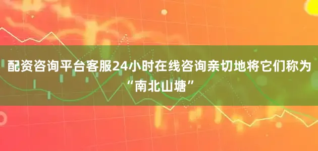 配资咨询平台客服24小时在线咨询亲切地将它们称为“南北山塘”