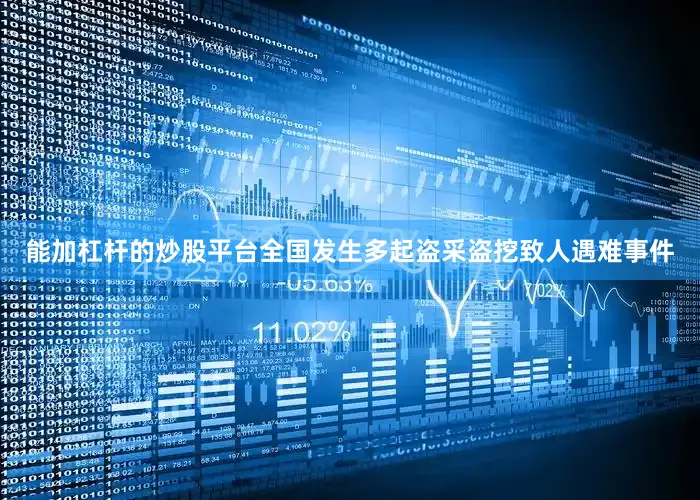 能加杠杆的炒股平台全国发生多起盗采盗挖致人遇难事件